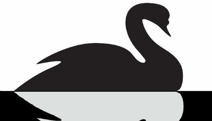 Cybersecurity Black Swan or Corporate Negligence